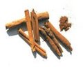 140px-Cinnamomum zeylanicum001xx s.jpg